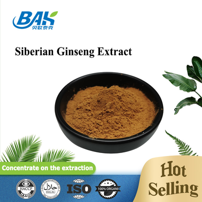 CAS 7374-79-0 মেনস হেলথ সাপ্লিমেন্ট সাইবেরিয়ান জিনসেং এক্সট্র্যাক্ট এলিউথেরোসাইড বি ই