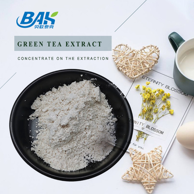 বাল্ক স্টক গ্রিন টি এক্সট্র্যাক্ট EGCG CAS NO 989-51-5 Epigallocatechin Gallate 98% হোয়াইট পাউডার