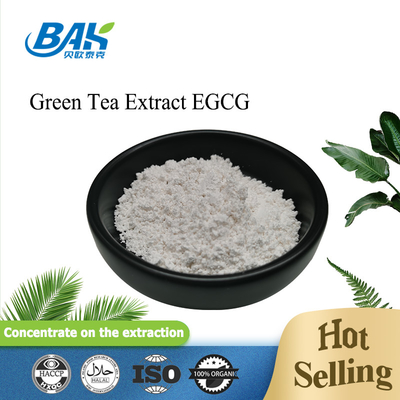 বাল্ক স্টক গ্রিন টি এক্সট্র্যাক্ট EGCG CAS NO 989-51-5 Epigallocatechin Gallate 98% হোয়াইট পাউডার
