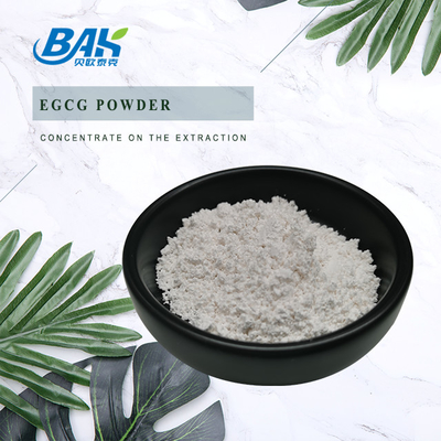 বাল্ক স্টক গ্রিন টি এক্সট্র্যাক্ট EGCG CAS NO 989-51-5 Epigallocatechin Gallate 98% হোয়াইট পাউডার