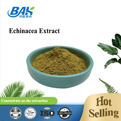 Echinacea এক্সট্র্যাক্ট ব্রাউন ইয়েলো পাউডার