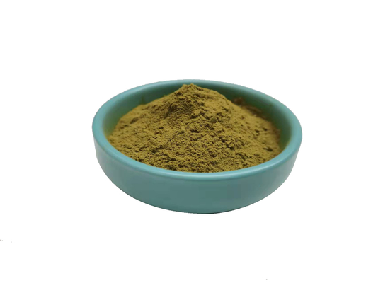 Echinacea এক্সট্র্যাক্ট ব্রাউন ইয়েলো পাউডার