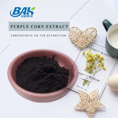 BAK কারখানা পাইকারি অ্যান্টোসায়ানিন 35% Zea Mays Purple Corn Extract Dark Purple Powder
