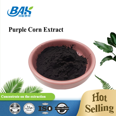 BAK কারখানা পাইকারি অ্যান্টোসায়ানিন 35% Zea Mays Purple Corn Extract Dark Purple Powder