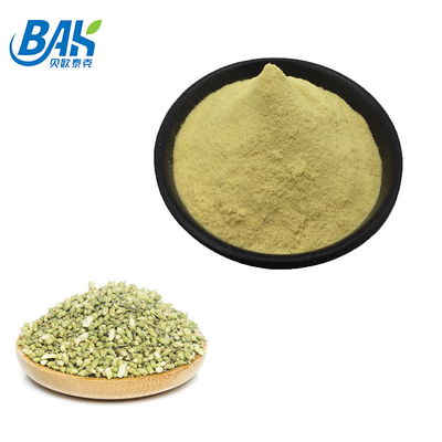Cas 153-18-4 Sophora Japonica Extract 95% Quercetin Yellow পাউডার