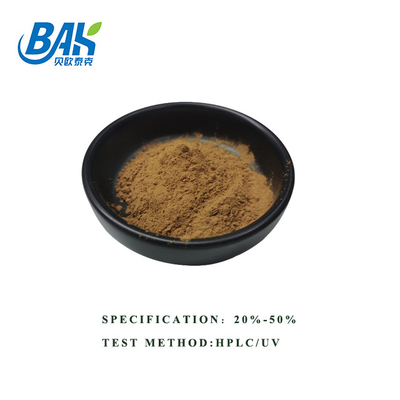 গরম বিক্রয় HPLC UV Bacopa Monnieri এক্সট্র্যাক্ট ব্রাউন হলুদ পাউডার 100% পাস 80 Mesh