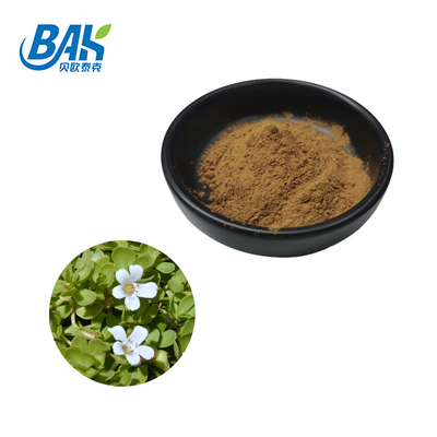 গরম বিক্রয় HPLC UV Bacopa Monnieri এক্সট্র্যাক্ট ব্রাউন হলুদ পাউডার 100% পাস 80 Mesh