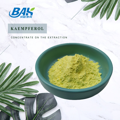 BAK উচ্চ মানের Cas 520-18-3 ইমিউন বর্ধনকারী সম্পূরক Kaempferol পাউডার 50% 90% 98%