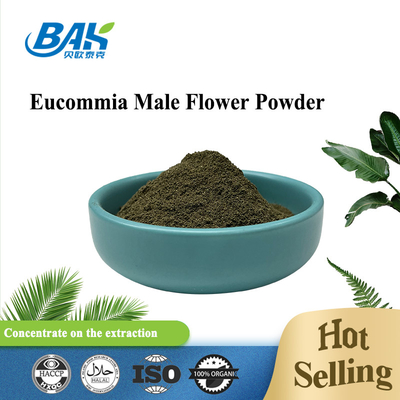 বিশুদ্ধ লিভার সুরক্ষা সম্পূরক Eucommia Ulmoides পুরুষ ফুল পাউডার