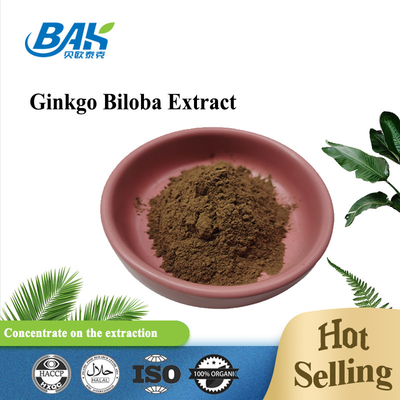 CAS 90045-36-6 জিংকো বিলোবা এক্সট্র্যাক্ট ফ্ল্যাভোন গ্লাইকোসাইড 24% টেরপেন ল্যাকটরিজ 6%
