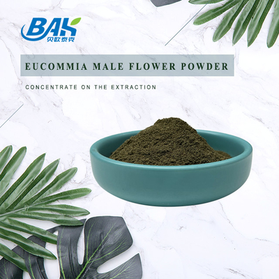 বিশুদ্ধ লিভার সুরক্ষা সম্পূরক Eucommia Ulmoides পুরুষ ফুল পাউডার