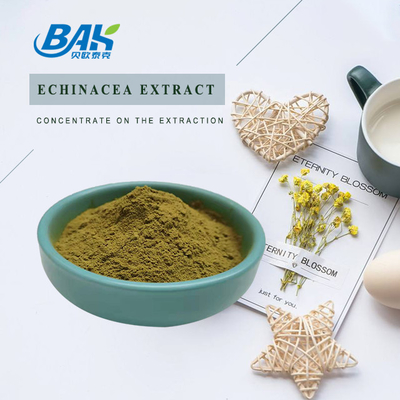 Echinacea এক্সট্র্যাক্ট ব্রাউন ইয়েলো পাউডার