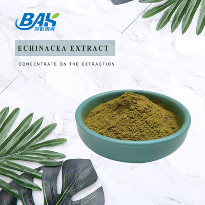 Echinacea এক্সট্র্যাক্ট ব্রাউন ইয়েলো পাউডার