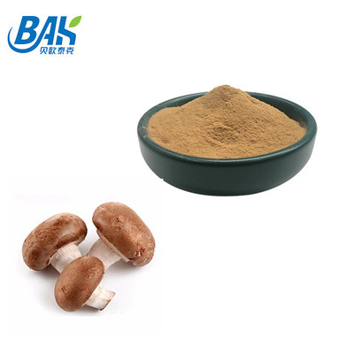 50% পলিস্যাকারাইডস লেন্টিনুলা এডোডস শিটকে মাশরুম এক্সট্র্যাক্ট পাউডার