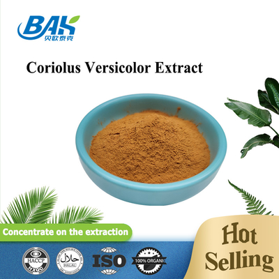 জৈবিক Coriolus Versicolor মাশরুম এক্সট্র্যাক্ট সম্পূরক বাদামী হলুদ পাউডার