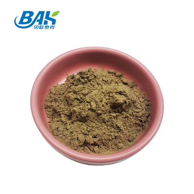 অজুগা তুর্কেস্তানিকা নির্যাস 2%-20%