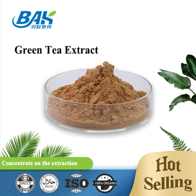 GTP 20% EGCG 15% ক্যাটেচিন 30% ইমিউন এনহ্যান্সিং সাপ্লিমেন্টস গ্রিন টি এক্সট্র্যাক্ট