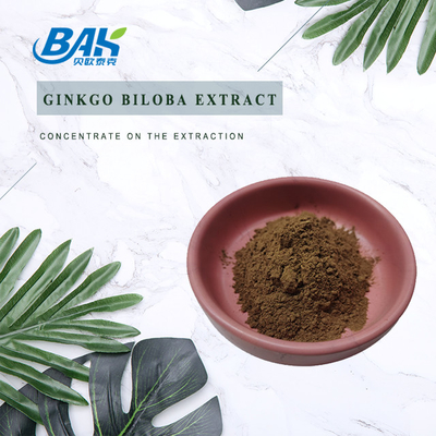 CAS 90045-36-6 জিংকো বিলোবা এক্সট্র্যাক্ট ফ্ল্যাভোন গ্লাইকোসাইড 24% টেরপেন ল্যাকটরিজ 6%