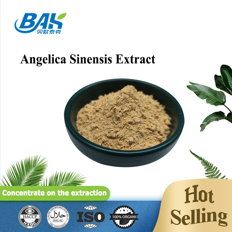 চীনা পেশাদার কারখানা Dang Gui Angelica Sinensis Dong Quai রুট এক্সট্র্যাক্ট পাউডার Angelica Dahurica এক্সট্র্যাক্ট