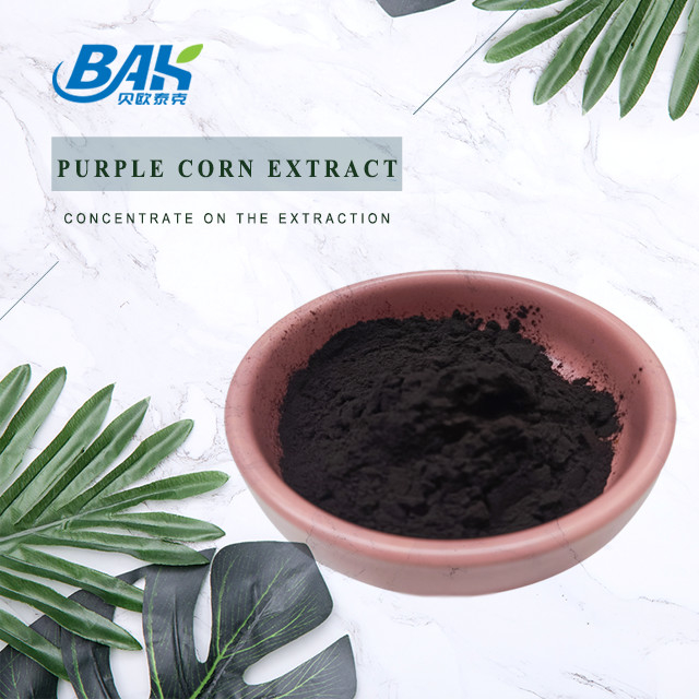 BAK কারখানা পাইকারি অ্যান্টোসায়ানিন 35% Zea Mays Purple Corn Extract Dark Purple Powder
