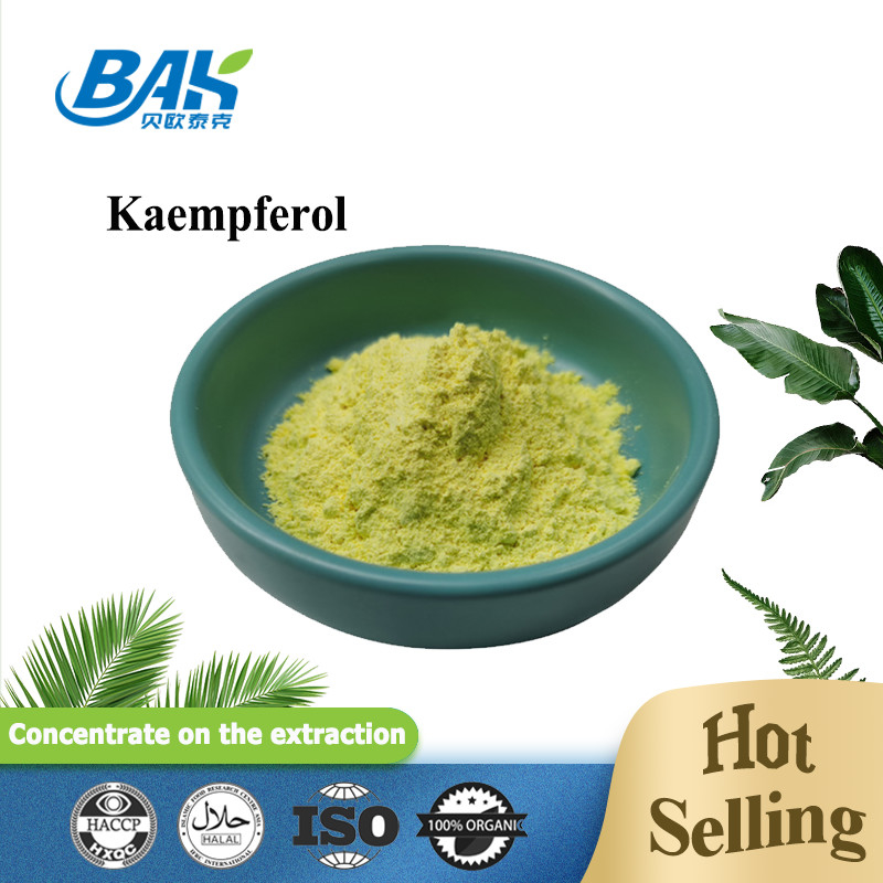 BAK উচ্চ মানের Cas 520-18-3 ইমিউন বর্ধনকারী সম্পূরক Kaempferol পাউডার 50% 90% 98%
